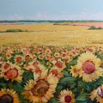 Sunflower Fields. Oil on canvas, 80x70 cm