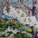 Les cerisiers. Titre V. Huile sur toile, 65x54 cm