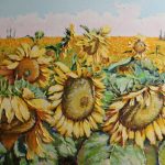 Sunflowers field. Oil on canvas, 100x160 cm