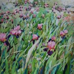 (English) Iris. Oil on canvas, 81x100 cm